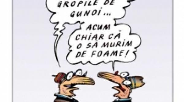 culmea crizei pizza cu o maslina