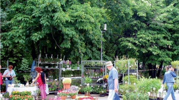 gradina de vara din nou la sosea