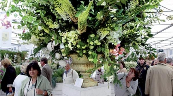 un bun gradinar are un simt in plus care il ajuta sa stie exact ce are de facut