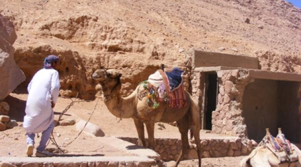 acolo unde se avanta ingerii