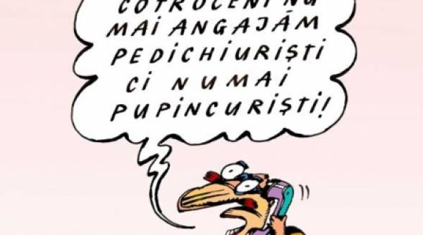 sclavi pe plantatia basescu