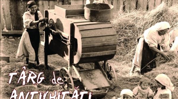 intrebari si raspunsuri cu talc