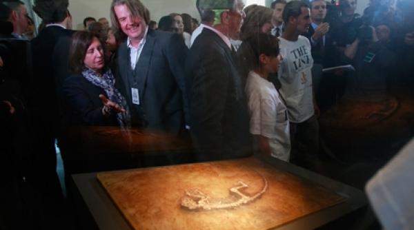 veriga lipsa la muzeu