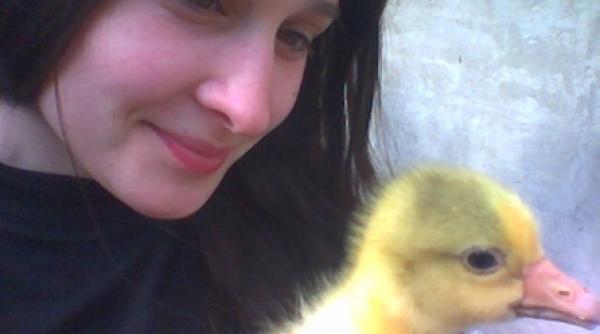 din sala de curs pe patul de spital