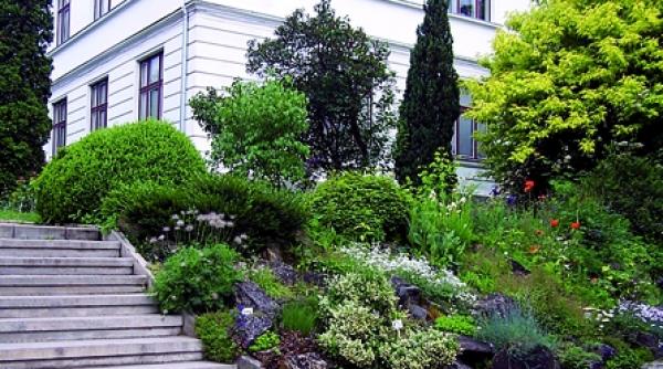 gradina botanica alexandru borza din cluj un loc de vizitat