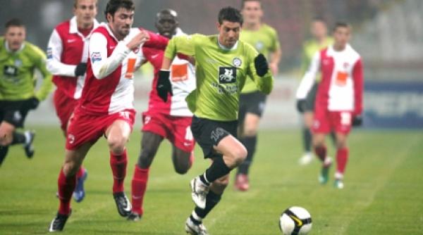 presiune mare pe caini