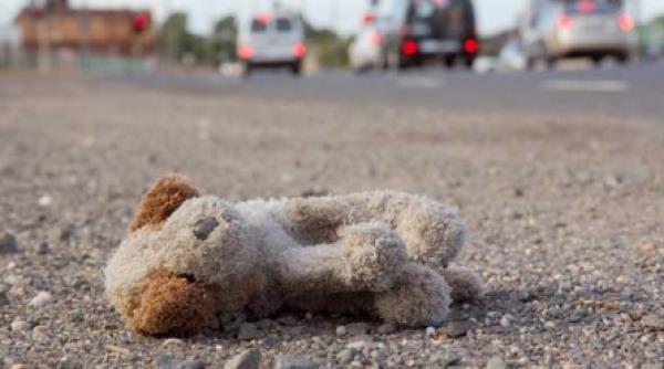 cainele mecanic care nu facea ham ham