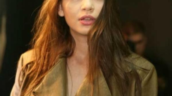 upgrade monica columbeanu interfata domnului meir cu presa