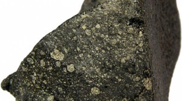urme de viata pe un meteorit din canada