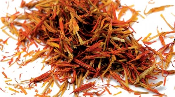 sofranul planta soarelui