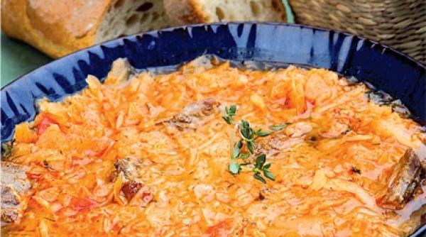 sub semnul vegetalului