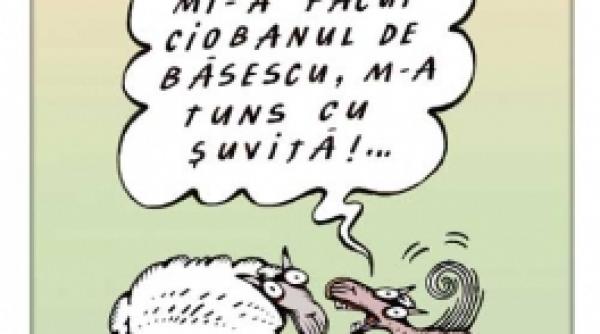 oaia animal politic sau de companie