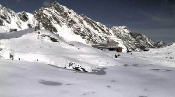 balbaiti de ninsoare