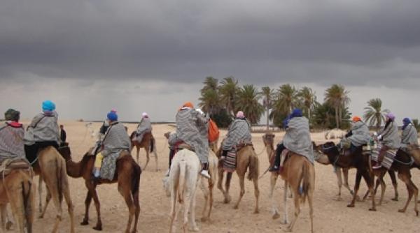 calatorie spre trandafirul desertului