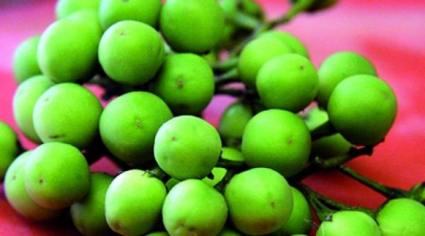 atunci cand natura este darnica