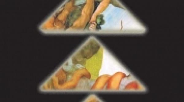 a d e m e n i r e a lui a c pahomi