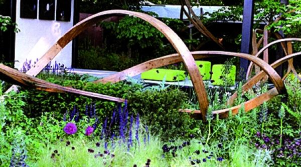 influente diverse intr o gradina realizata cu maiestrie