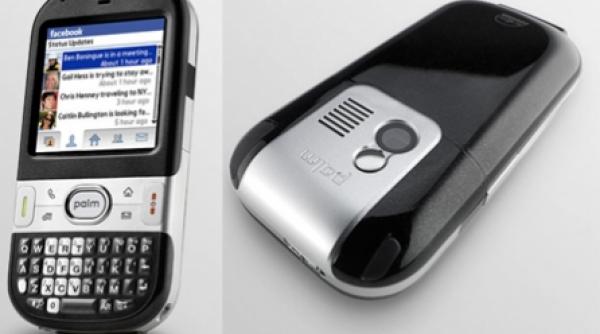 palm centro ieftin si simplu