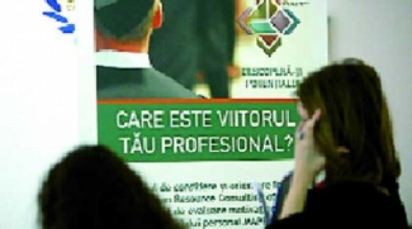 facultatea intre hobby si cariera