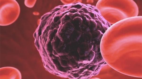 povestea unui vaccin impotriva cancerului