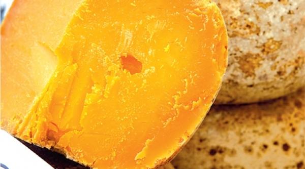 gusturile frantei vin in cetatea lui bucur