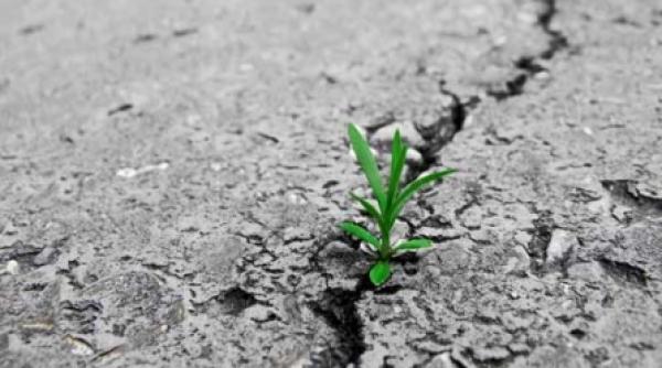 ultimul secol de civilizatie