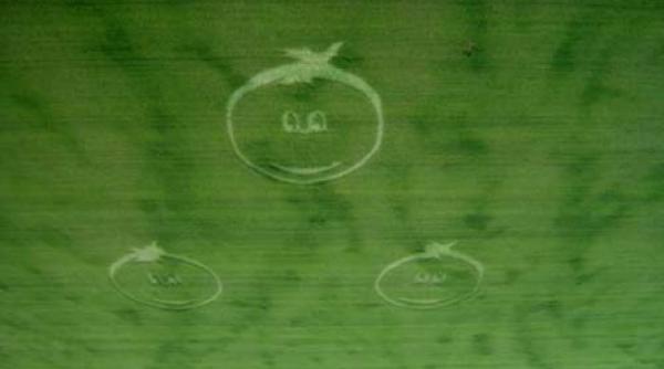 baicoi zambeste extraterestrii sunt langa tine