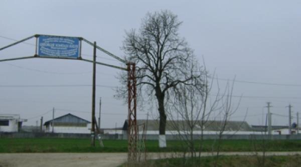 autostrada imaginara de la arad la nadlac