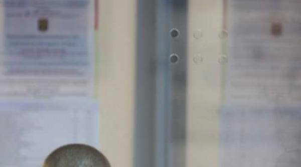 gripa porcina vine cu avionul