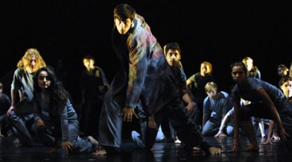 pasarea de foc vine in romania