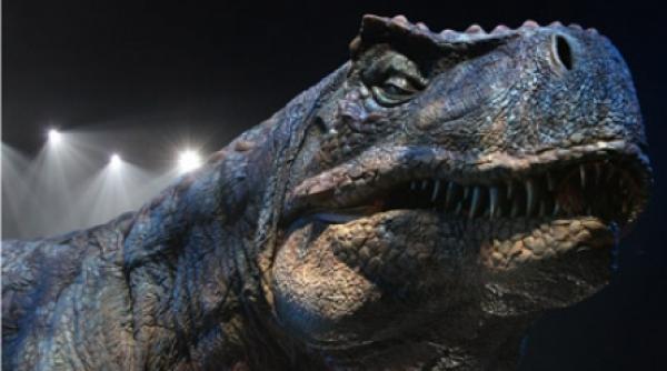 un dinozaur descoperit in china ar putea fi stramosul pasarilor