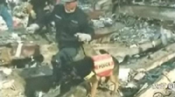 eroul patruped de la world trade center clonat cu succes