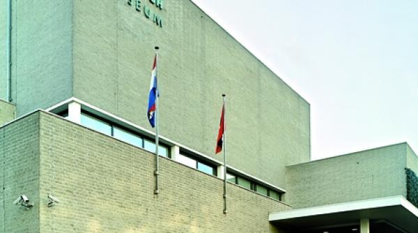 fata in fata cu van gogh