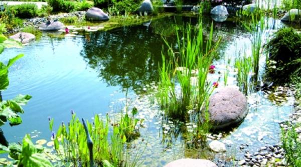 iazurile din gradina limpezi si fara mal