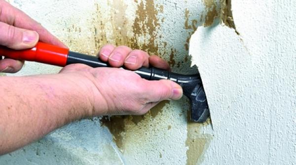 lupta impotriva mucegaiului