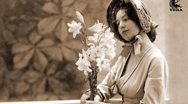 certificatul frumusetii