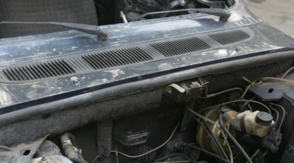 nebunul satului traia cu o capra