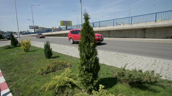 cnadnr catre firma lena tu ia banii ca s de la stat