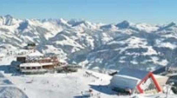 olimpiada de iarna a familiei ridzi