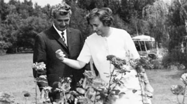 tovarasul si tovarasa plimbare in pas vioi