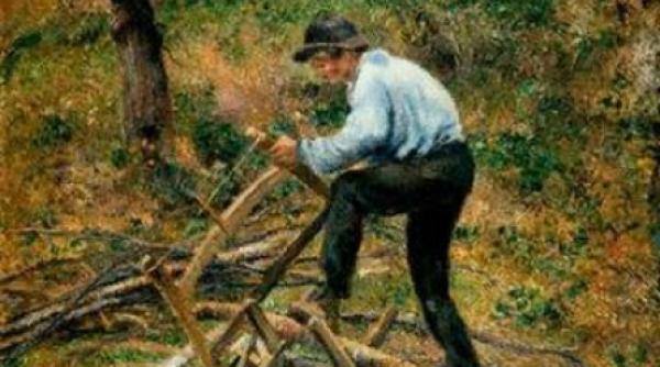 taietorul de lemne nu si a gasit cumparator la licitatia din romania