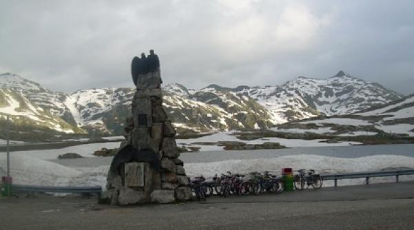 elvetia frumoasa si devreme acasa