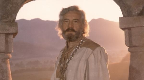 sergiu nicolaescu destin si film