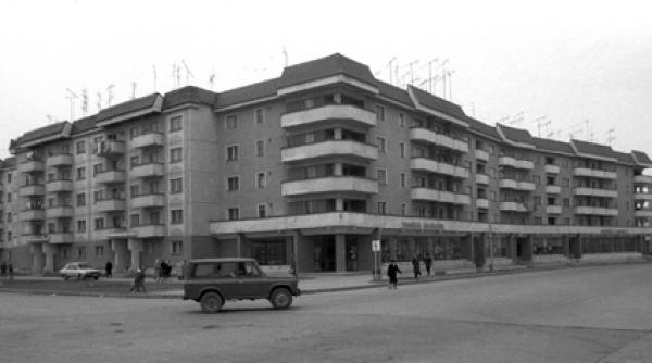 avem ligheane pentru prins rusii