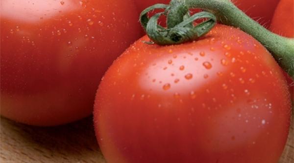 empanada si noche de tertulia