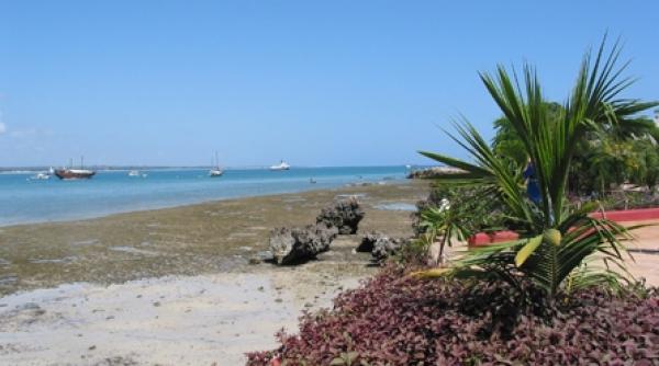 adevarat land of choice