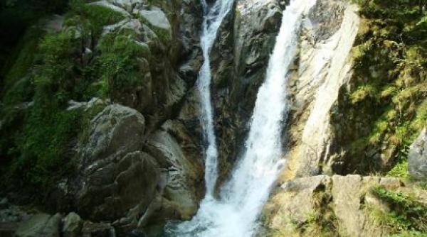 parcul national retezat in semifinalele competitiei cele sapte minuni naturale ale lumii