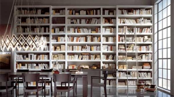 biblioteci pentru orice spatiu din locuinta