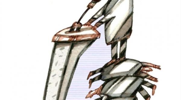 turcu la popa boc pe santier