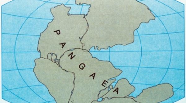 calatoria tarilor pe harta lumii